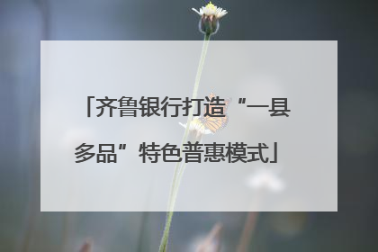齐鲁银行打造“一县多品”特色普惠模式