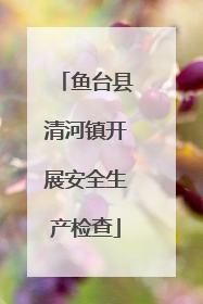 鱼台县清河镇开展安全生产检查
