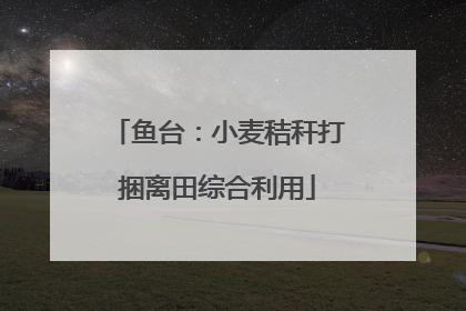 鱼台：小麦秸秆打捆离田综合利用