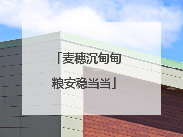 麦穗沉甸甸 粮安稳当当