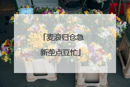 麦浪归仓急 新垄点豆忙