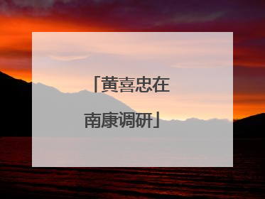 黄喜忠在南康调研