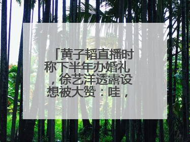 黄子韬直播时称下半年办婚礼，徐艺洋透露设想被大赞：哇，这个太好了