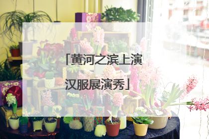 黄河之滨上演汉服展演秀