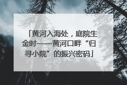 黄河入海处，庭院生金时——黄河口畔“归寻小院”的振兴密码