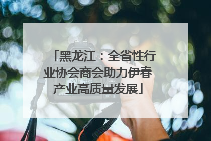黑龙江：全省性行业协会商会助力伊春产业高质量发展