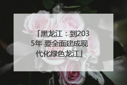 黑龙江：到2035年 要全面建成现代化绿色龙江
