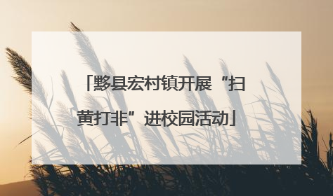 黟县宏村镇开展“扫黄打非”进校园活动