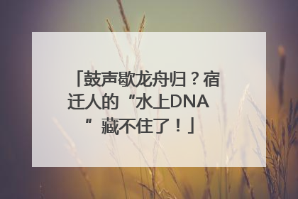 鼓声歇龙舟归？宿迁人的“水上DNA”藏不住了！