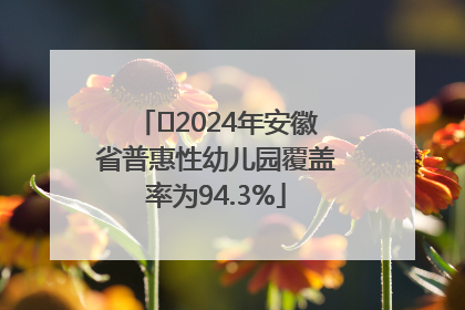 ﻿2024年安徽省普惠性幼儿园覆盖率为94.3%