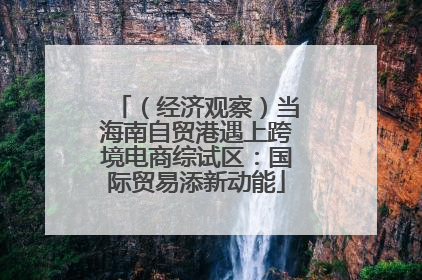 （经济观察）当海南自贸港遇上跨境电商综试区：国际贸易添新动能