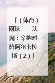 （体育）网球——法网：辛纳对阵阿尔卡拉斯（2）