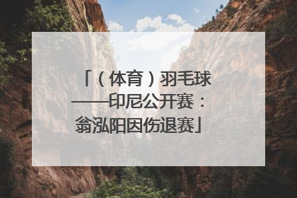 （体育）羽毛球——印尼公开赛：翁泓阳因伤退赛
