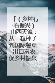 （乡村行·看振兴）山西天镇：从一粒种子到国际餐桌 出口富农促乡村振兴