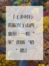 （乡村行·看振兴）山西襄垣：一粒“米”的新“稻”路