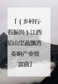 （乡村行·看振兴）江西铅山果蔬飘香 奏响产业致富曲