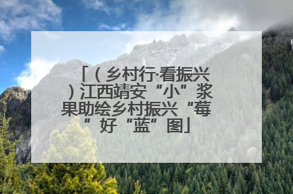 （乡村行·看振兴）江西靖安“小”浆果助绘乡村振兴“莓”好“蓝”图