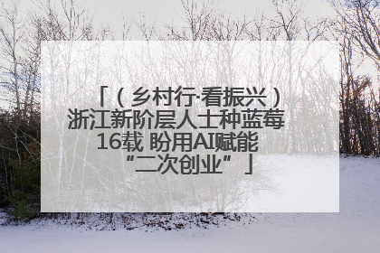 （乡村行·看振兴）浙江新阶层人士种蓝莓16载 盼用AI赋能“二次创业”