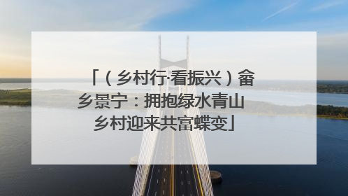 （乡村行·看振兴）畲乡景宁：拥抱绿水青山 乡村迎来共富蝶变