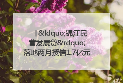 “锦江民营发展贷”落地两月授信1.7亿元，惠及118家民企