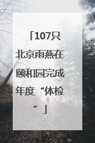 107只北京雨燕在颐和园完成年度“体检”