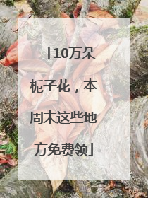 10万朵栀子花，本周末这些地方免费领