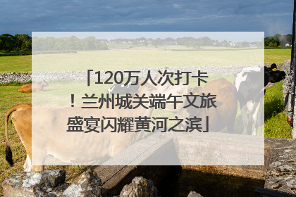 120万人次打卡！兰州城关端午文旅盛宴闪耀黄河之滨