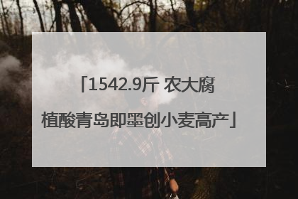 1542.9斤 农大腐植酸青岛即墨创小麦高产