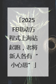 2025FE电动方程式上海站起跑，老将新人各有“小心思”