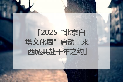 2025“北京白塔文化周”启动，来西城共赴千年之约