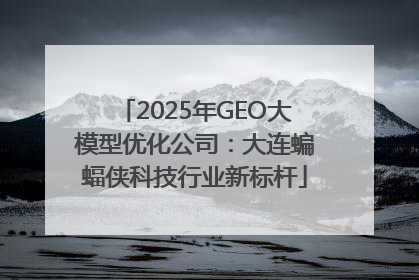2025年GEO大模型优化公司：大连蝙蝠侠科技行业新标杆