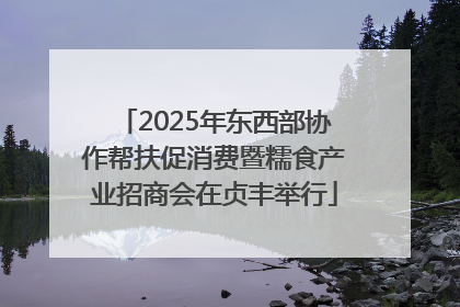 2025年东西部协作帮扶促消费暨糯食产业招商会在贞丰举行