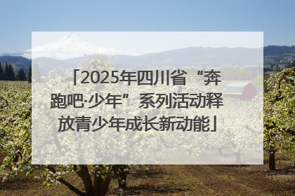 2025年四川省“奔跑吧·少年”系列活动释放青少年成长新动能