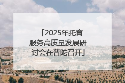 2025年托育服务高质量发展研讨会在普陀召开