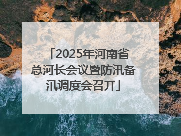 2025年河南省总河长会议暨防汛备汛调度会召开