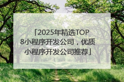 2025年精选TOP8小程序开发公司，优质小程序开发公司推荐