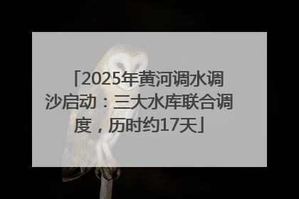 2025年黄河调水调沙启动：三大水库联合调度，历时约17天