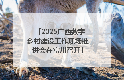 2025广西数字乡村建设工作现场推进会在富川召开