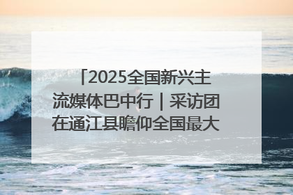 2025全国新兴主流媒体巴中行｜采访团在通江县瞻仰全国最大红军烈士陵园