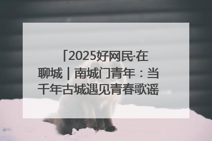 2025好网民·在聊城｜南城门青年：当千年古城遇见青春歌谣 一湖碧水见证的“聊城式浪漫”
