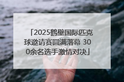 2025鹤壁国际匹克球邀请赛圆满落幕 300余名选手激情对决