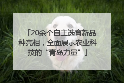 20余个自主选育新品种亮相，全面展示农业科技的“青岛力量”
