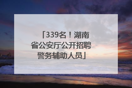 339名！湖南省公安厅公开招聘警务辅助人员