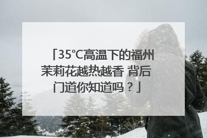 35℃高温下的福州茉莉花越热越香 背后门道你知道吗？