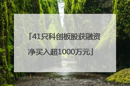 41只科创板股获融资净买入超1000万元