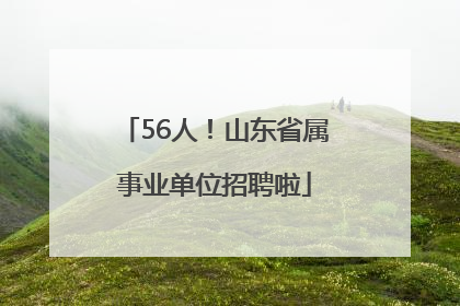 56人！山东省属事业单位招聘啦