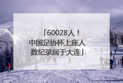 60028人！中国足协杯上座人数纪录属于大连