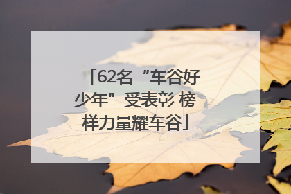 62名“车谷好少年”受表彰 榜样力量耀车谷
