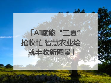 AI赋能“三夏”抢收忙 智慧农业绘就丰收新图景