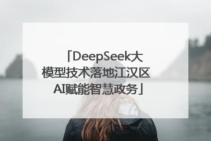 DeepSeek大模型技术落地江汉区 AI赋能智慧政务